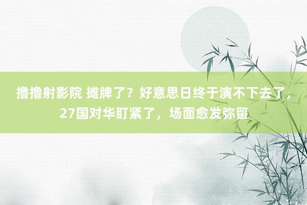 撸撸射影院 摊牌了？好意思日终于演不下去了，27国对华盯紧了，场面愈发弥留