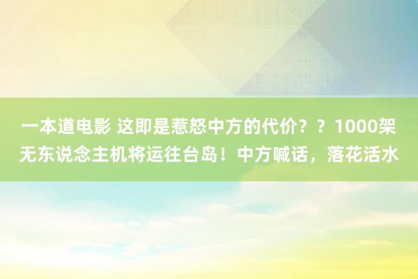 一本道电影 这即是惹怒中方的代价？？1000架无东说念主机将运往台岛！中方喊话，落花活水