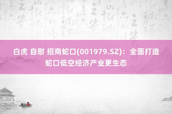 白虎 自慰 招商蛇口(001979.SZ)：全面打造蛇口低空经济产业更生态