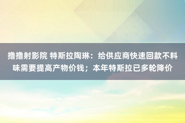 撸撸射影院 特斯拉陶琳：给供应商快速回款不料味需要提高产物价钱；本年特斯拉已多轮降价