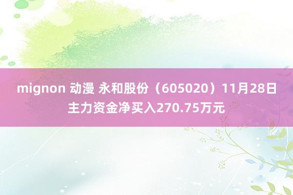 mignon 动漫 永和股份（605020）11月28日主力资金净买入270.75万元