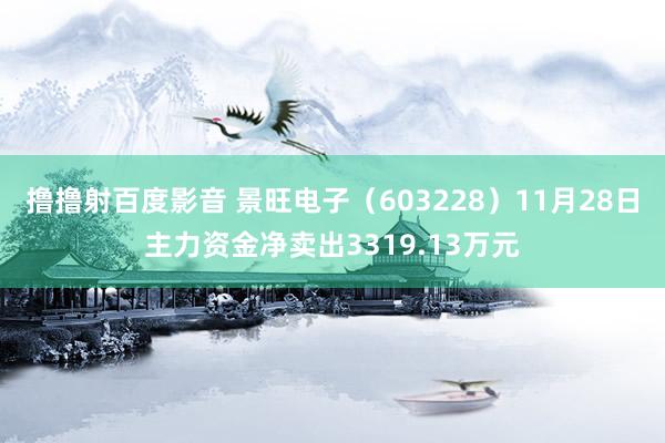 撸撸射百度影音 景旺电子（603228）11月28日主力资金净卖出3319.13万元