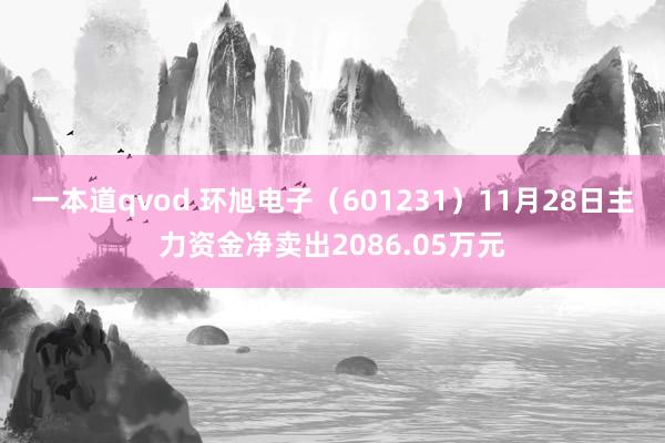 一本道qvod 环旭电子（601231）11月28日主力资金净卖出2086.05万元