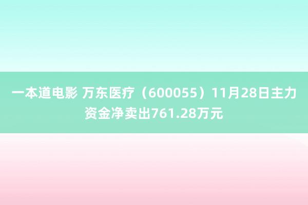 一本道电影 万东医疗（600055）11月28日主力资金净卖出761.28万元