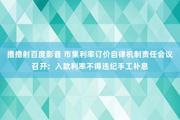 撸撸射百度影音 市集利率订价自律机制责任会议召开：入款利率不得违纪手工补息