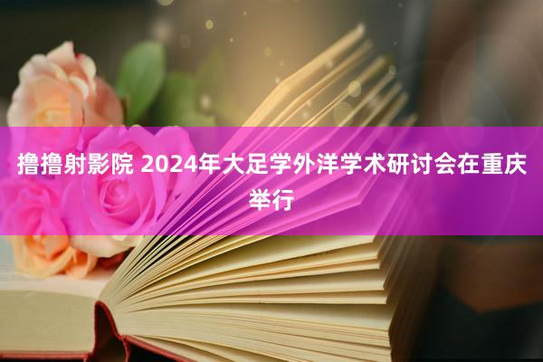 撸撸射影院 2024年大足学外洋学术研讨会在重庆举行