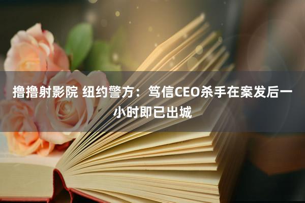 撸撸射影院 纽约警方：笃信CEO杀手在案发后一小时即已出城