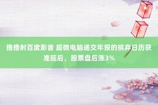 撸撸射百度影音 超微电脑递交年报的摈弃日历获准延后，股票盘后涨3%