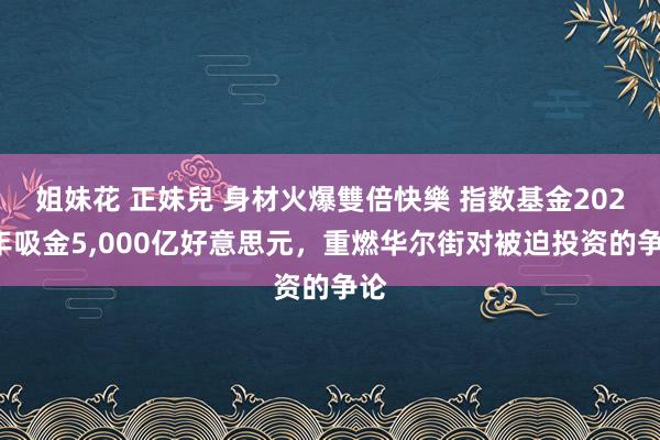 姐妹花 正妹兒 身材火爆雙倍快樂 指数基金2024年吸金5，000亿好意思元，重燃华尔街对被迫投资的争论