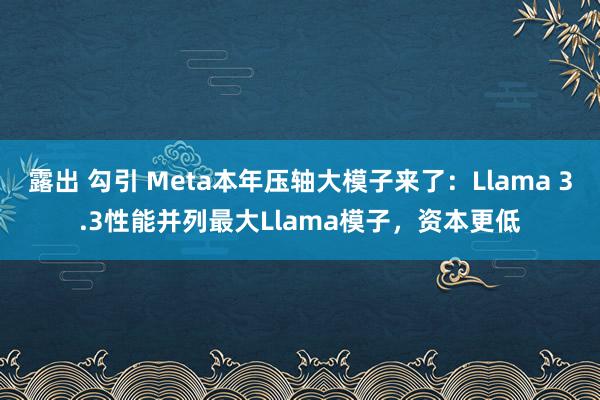 露出 勾引 Meta本年压轴大模子来了：Llama 3.3性能并列最大Llama模子，资本更低