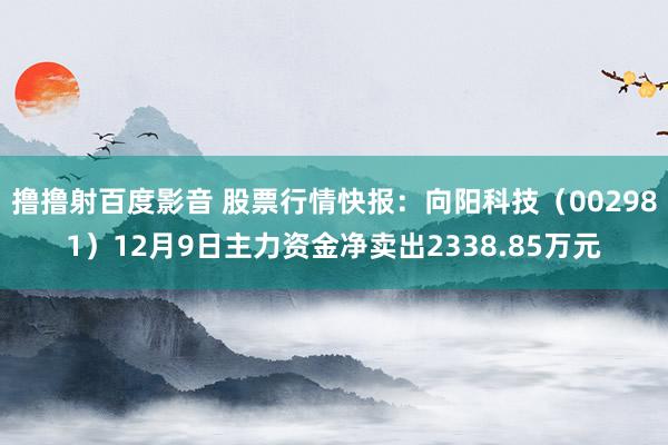 撸撸射百度影音 股票行情快报：向阳科技（002981）12月9日主力资金净卖出2338.85万元