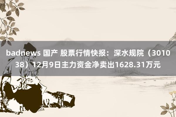 badnews 国产 股票行情快报：深水规院（301038）12月9日主力资金净卖出1628.31万元