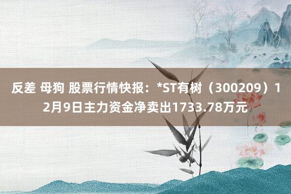 反差 母狗 股票行情快报：*ST有树（300209）12月9日主力资金净卖出1733.78万元