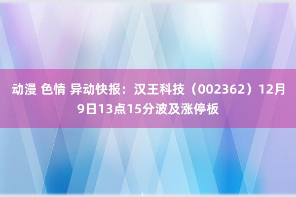 动漫 色情 异动快报：汉王科技（002362）12月9日13点15分波及涨停板