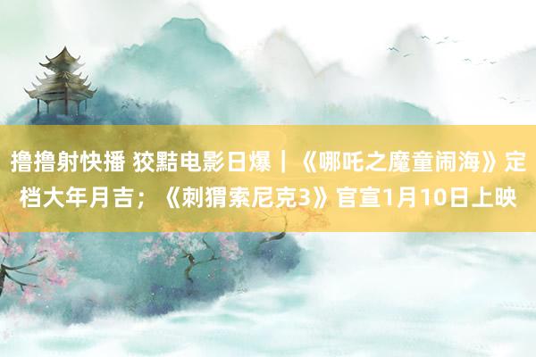 撸撸射快播 狡黠电影日爆｜《哪吒之魔童闹海》定档大年月吉；《刺猬索尼克3》官宣1月10日上映