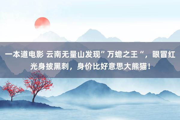 一本道电影 云南无量山发现”万蟾之王“，眼冒红光身披黑刺，身价比好意思大熊猫！