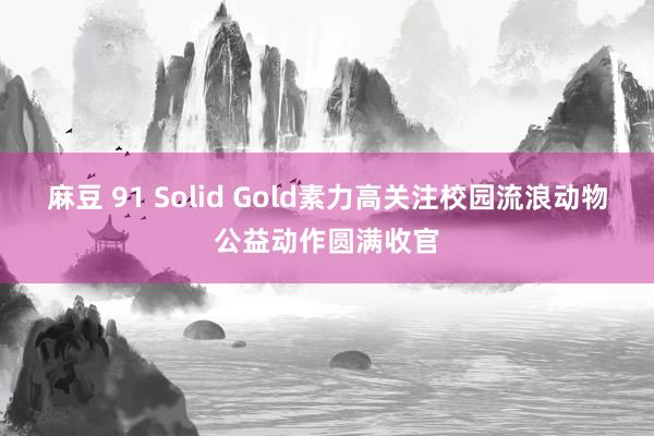 麻豆 91 Solid Gold素力高关注校园流浪动物公益动作圆满收官