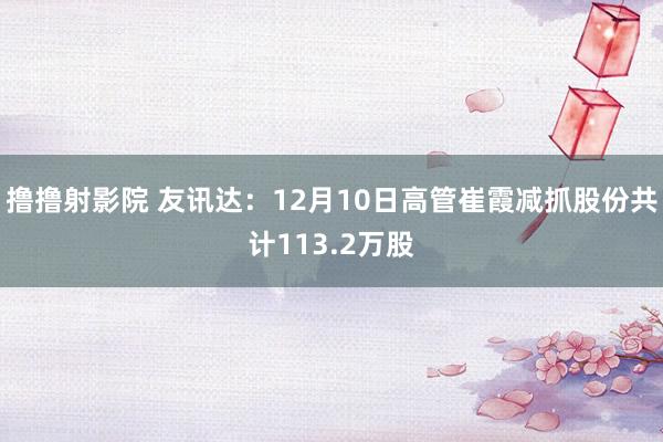 撸撸射影院 友讯达：12月10日高管崔霞减抓股份共计113.2万股