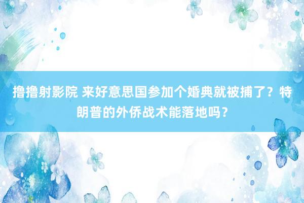 撸撸射影院 来好意思国参加个婚典就被捕了？特朗普的外侨战术能落地吗？