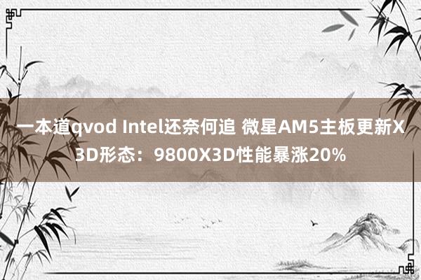 一本道qvod Intel还奈何追 微星AM5主板更新X3D形态：9800X3D性能暴涨20%