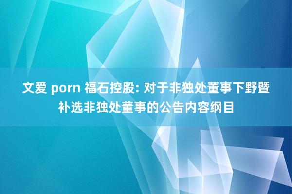 文爱 porn 福石控股: 对于非独处董事下野暨补选非独处董事的公告内容纲目