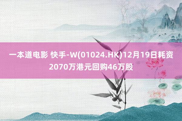 一本道电影 快手-W(01024.HK)12月19日耗资2070万港元回购46万股