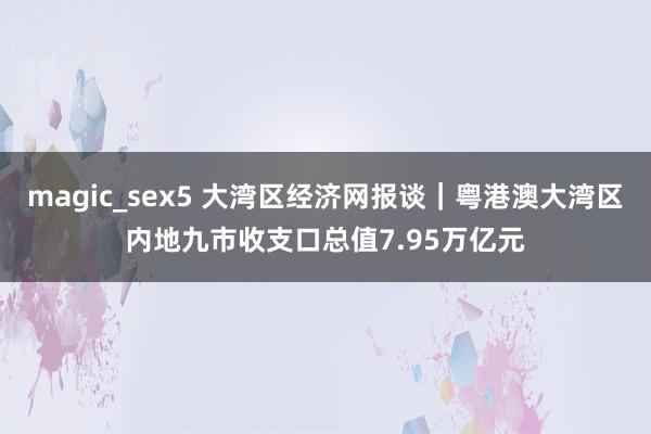 magic_sex5 大湾区经济网报谈｜粤港澳大湾区内地九市收支口总值7.95万亿元