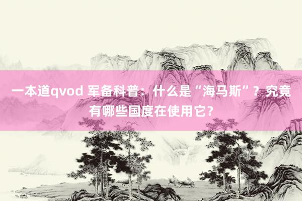 一本道qvod 军备科普：什么是“海马斯”？究竟有哪些国度在使用它？