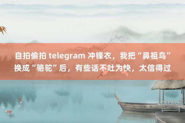 自拍偷拍 telegram 冲锋衣，我把“鼻祖鸟”换成“骆驼”后，有些话不吐为快，太信得过