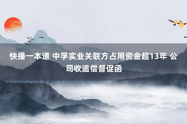 快播一本道 中孚实业关联方占用资金超13年 公司收追偿督促函