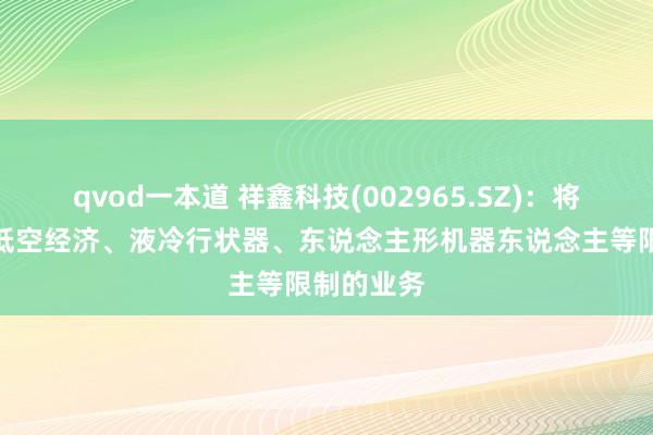 qvod一本道 祥鑫科技(002965.SZ)：将渐渐延伸低空经济、液冷行状器、东说念主形机器东说念主等限制的业务