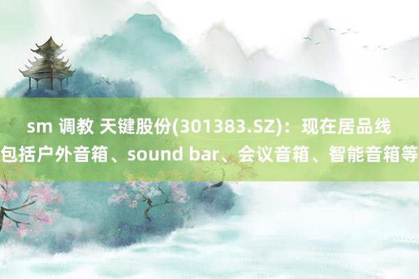 sm 调教 天键股份(301383.SZ)：现在居品线包括户外音箱、sound bar、会议音箱、智能音箱等