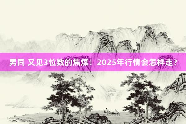 男同 又见3位数的焦煤！2025年行情会怎样走？