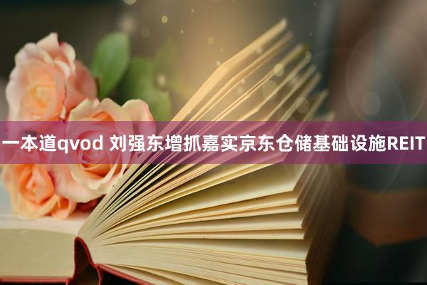 一本道qvod 刘强东增抓嘉实京东仓储基础设施REIT