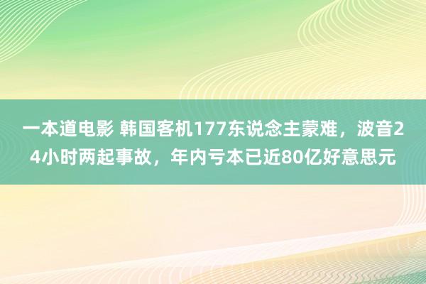 一本道电影 韩国客机177东说念主蒙难，波音24小时两起事故，年内亏本已近80亿好意思元