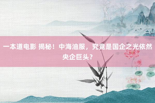 一本道电影 揭秘！中海油服，究竟是国企之光依然央企巨头？