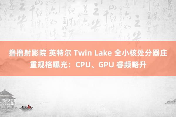 撸撸射影院 英特尔 Twin Lake 全小核处分器庄重规格曝光：CPU、GPU 睿频略升