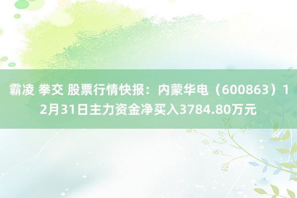 霸凌 拳交 股票行情快报：内蒙华电（600863）12月31日主力资金净买入3784.80万元