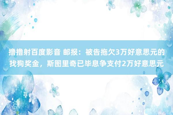 撸撸射百度影音 邮报：被告拖欠3万好意思元的找狗奖金，斯图里奇已毕息争支付2万好意思元