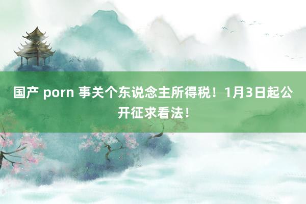 国产 porn 事关个东说念主所得税！1月3日起公开征求看法！