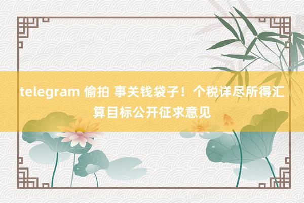 telegram 偷拍 事关钱袋子！个税详尽所得汇算目标公开征求意见