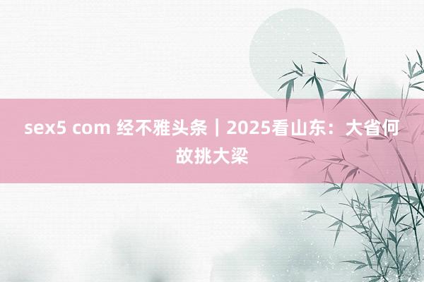 sex5 com 经不雅头条｜2025看山东：大省何故挑大梁