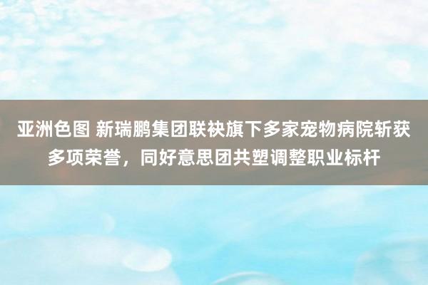 亚洲色图 新瑞鹏集团联袂旗下多家宠物病院斩获多项荣誉，同好意思团共塑调整职业标杆