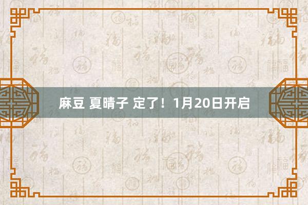 麻豆 夏晴子 定了！1月20日开启