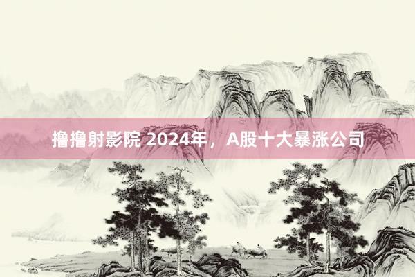 撸撸射影院 2024年，A股十大暴涨公司