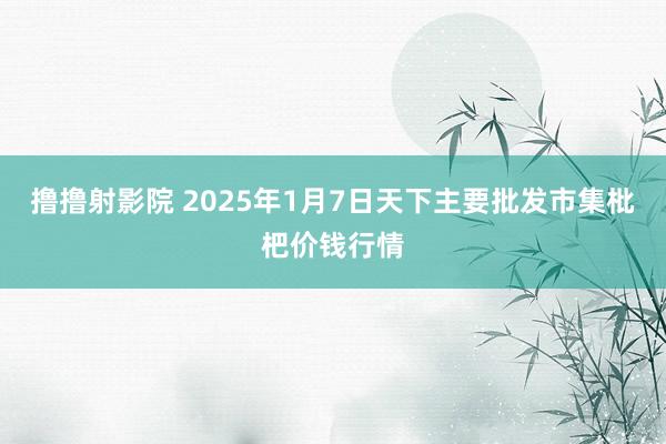 撸撸射影院 2025年1月7日天下主要批发市集枇杷价钱行情