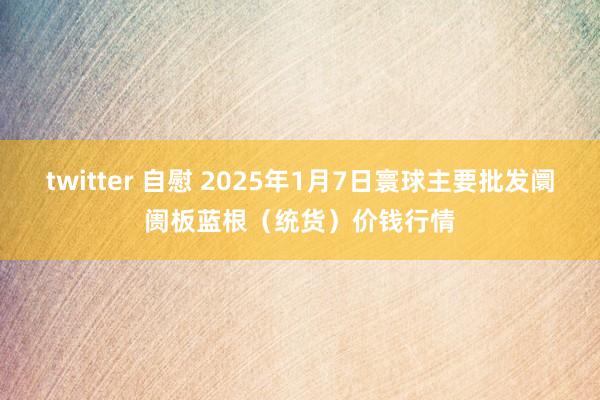 twitter 自慰 2025年1月7日寰球主要批发阛阓板蓝根（统货）价钱行情