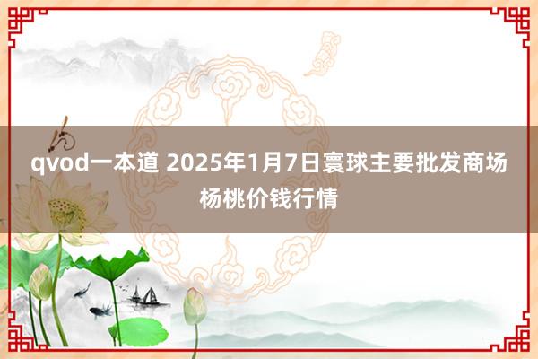 qvod一本道 2025年1月7日寰球主要批发商场杨桃价钱行情