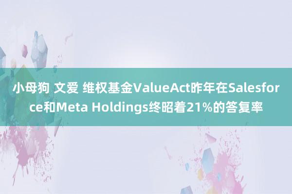 小母狗 文爱 维权基金ValueAct昨年在Salesforce和Meta Holdings终昭着21%的答复率