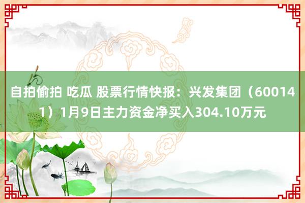 自拍偷拍 吃瓜 股票行情快报：兴发集团（600141）1月9日主力资金净买入304.10万元